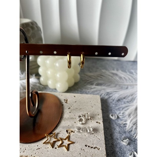 Auskarai "Spindinti žvaigždė" 2