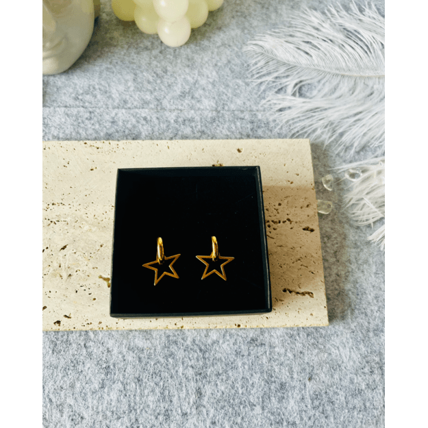 Auskarai "Spindinti žvaigždė" 1