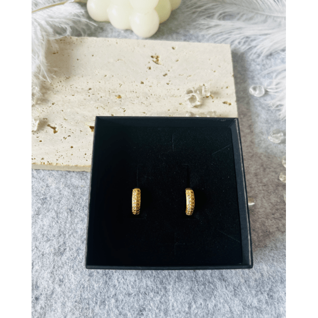 Auskarai "Spindinti klasika" 1